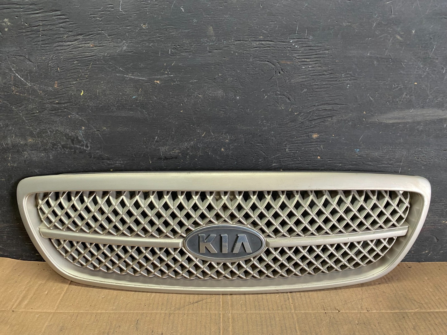 2004 to 2005 Kia Sedona Front Upper Grill Grille OEM r7819 DG0