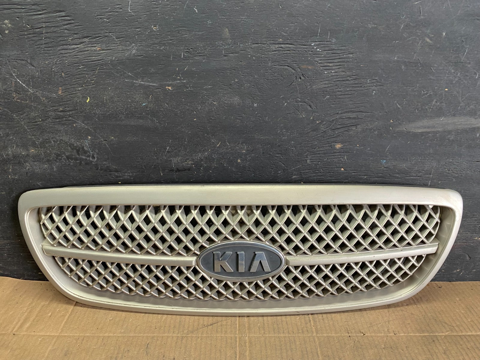2004 to 2005 Kia Sedona Front Upper Grill Grille OEM r7819 DG0