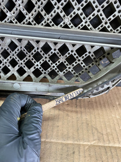 2004 to 2005 Kia Sedona Front Upper Grill Grille OEM r7819 DG14