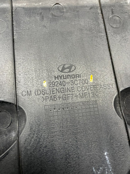 2005 - 2010 Hyundai Santa Fe V6 Engine Motor Cover j6961 DG8
