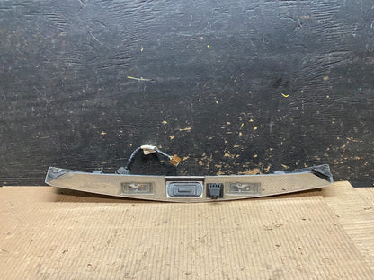 2010-2015 Cadillac SRX Rear Liftgate Tailgate Finish Molding W/ Camera W6184 DG5