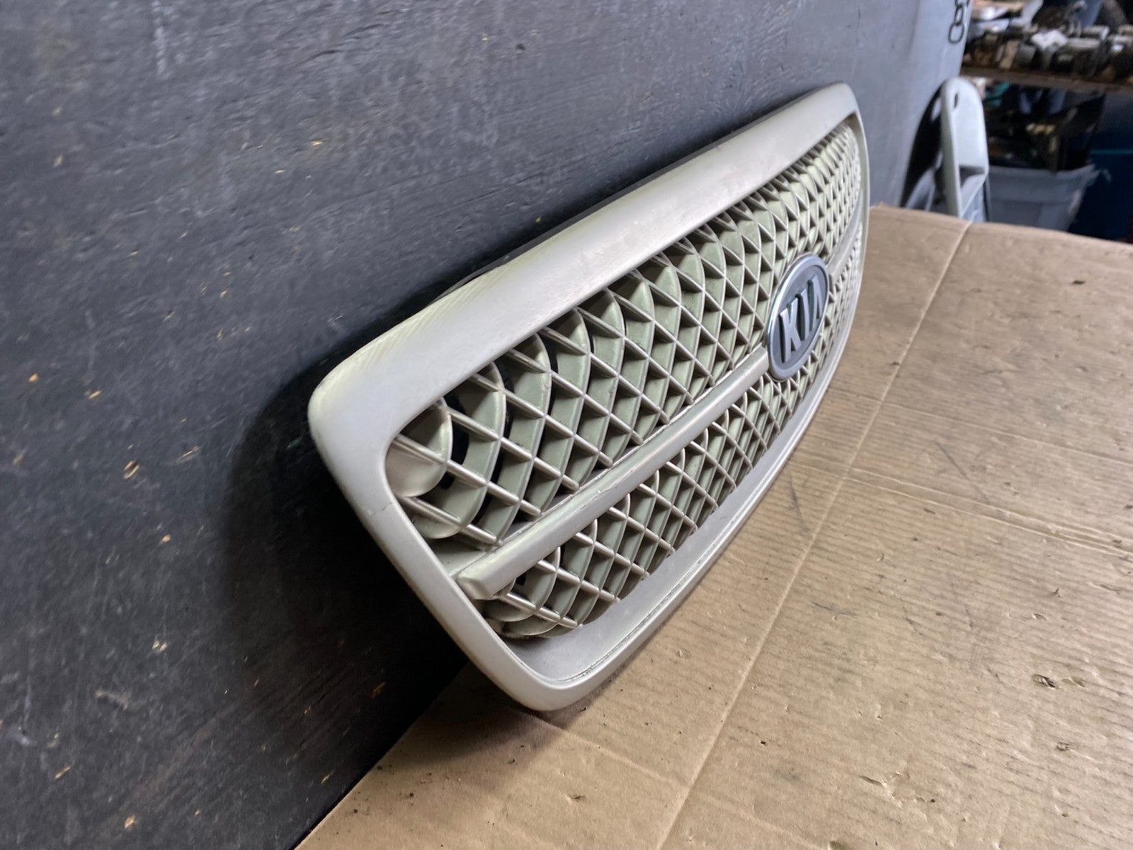 2004 to 2005 Kia Sedona Front Upper Grill Grille OEM r7819 DG2