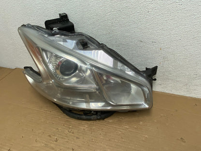 Halogen 2009-2014 Nissan Maxima Right Passenger Headlight AD4254 DW1
