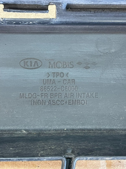 2016 2017 2018 Kia Sorento Front Lower Grill Grille AC9946 DG4
