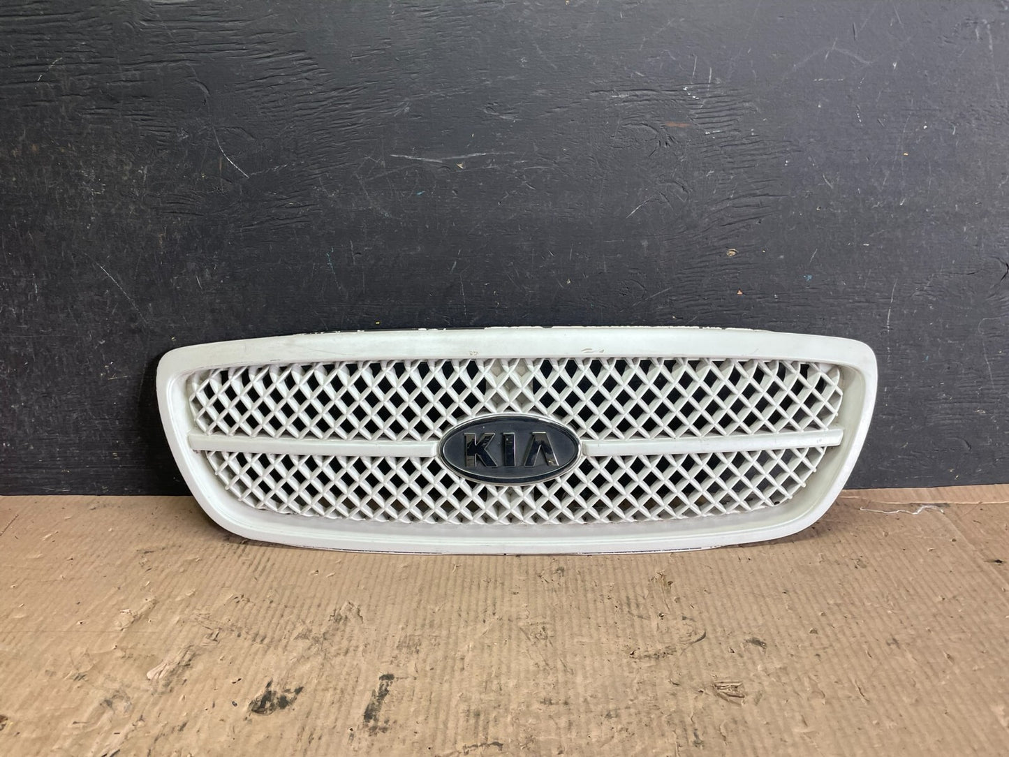 2004 to 2005 Kia Sedona Front Upper Grill Grille L9634 PS0