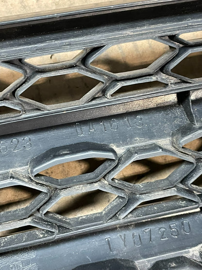 2004 2005 Toyota RAV4 Front Upper Grill Grille OEM X9764 DG13