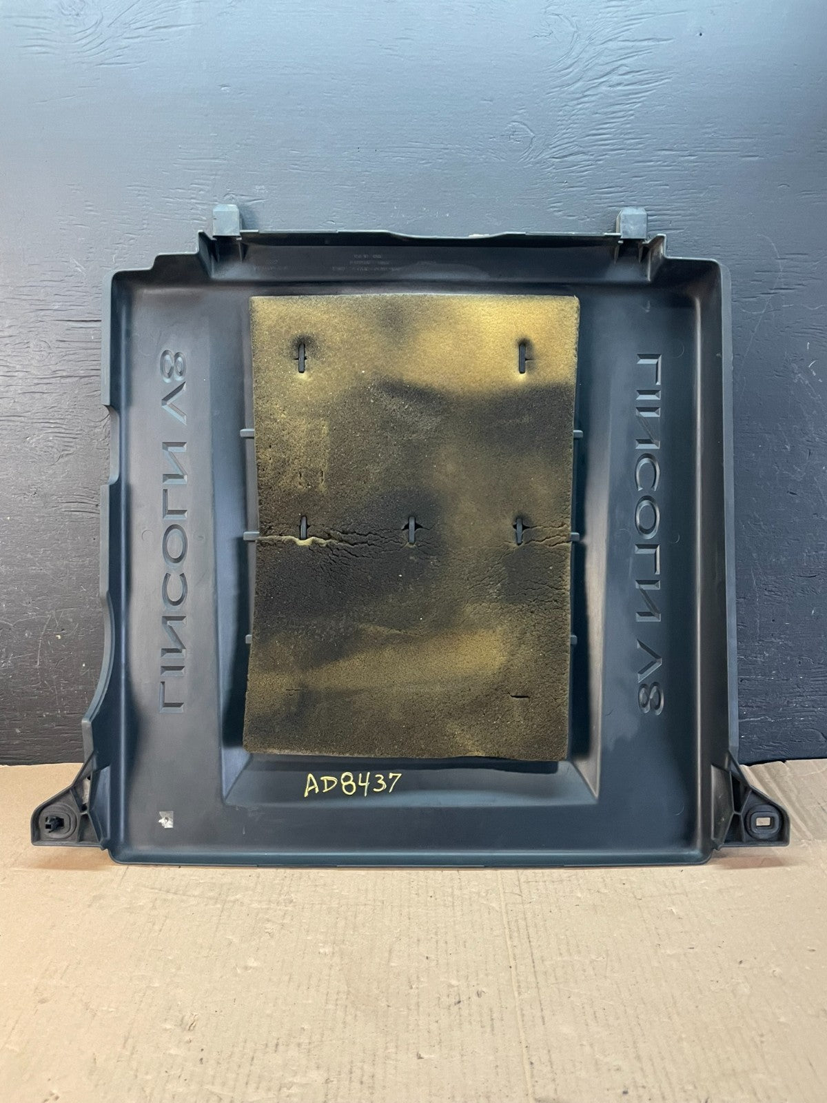 2005 to 2006 Lincoln Navigator 5.4L V8 Engine Motor Cover AD8437 DG3