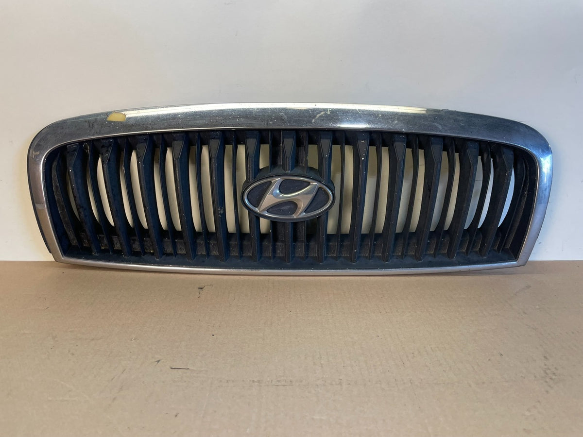 2001 to 2005 Hyundai Sonata Front Upper Grille Grill Bumper AI4275 DG0
