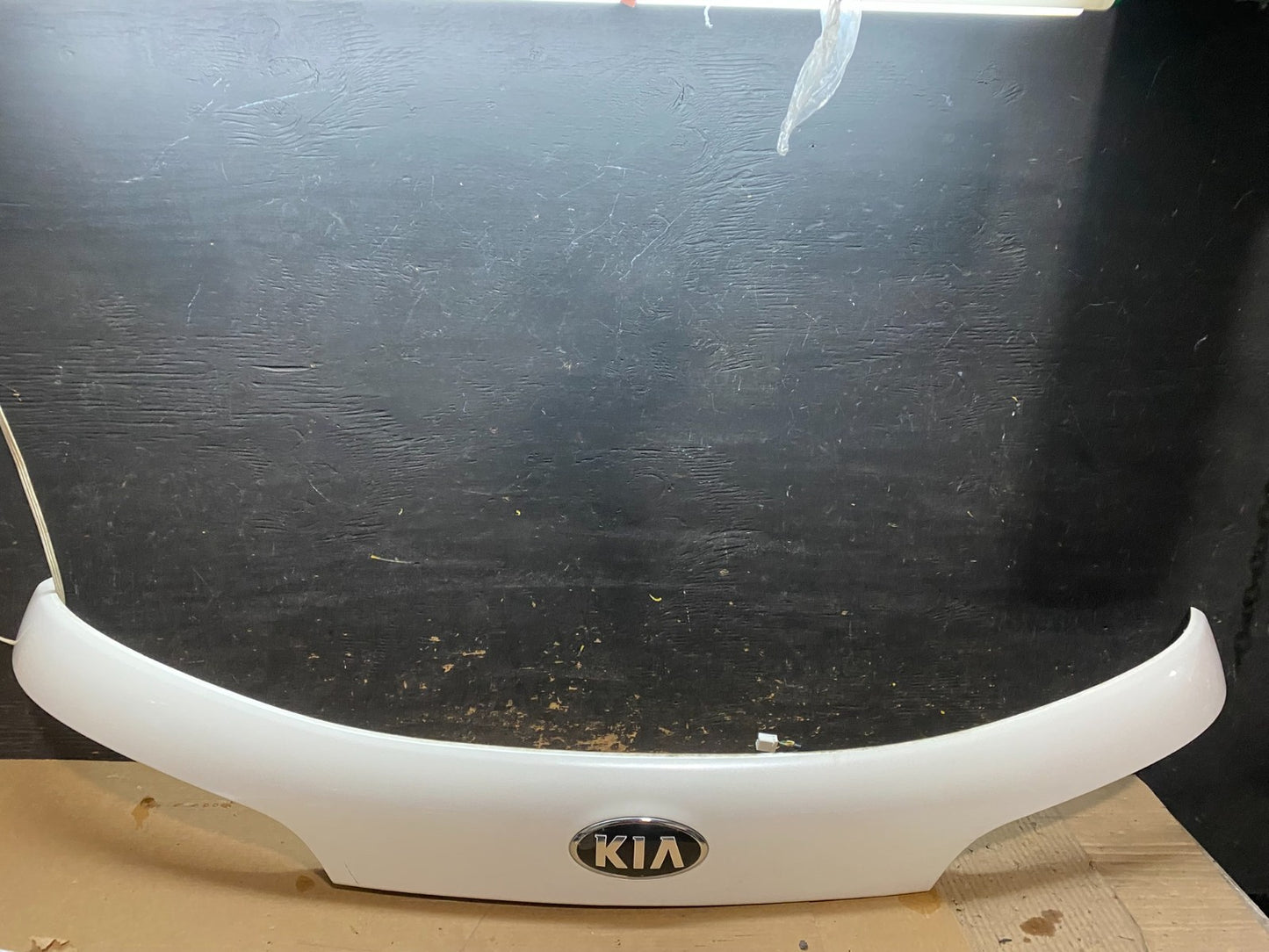 2014 to 2015 Kia Sorento Trunk Lid Emblem Molding Trim Oem V6934 DG0