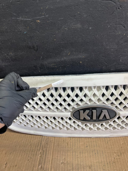 2004 to 2005 Kia Sedona Front Upper Grill Grille OEM r5396 DG4