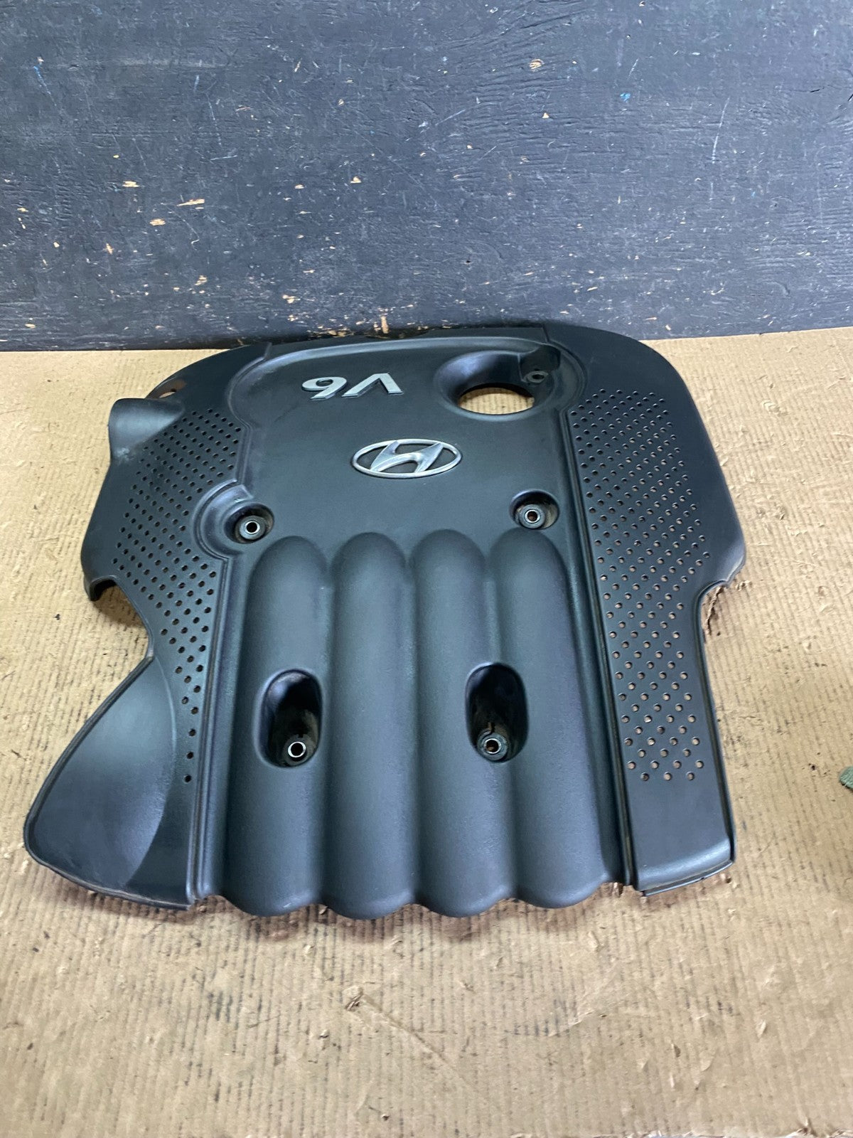 2005 - 2006 Hyundai Santa Fe V6 Engine Motor Cover OEM p5827 DG1