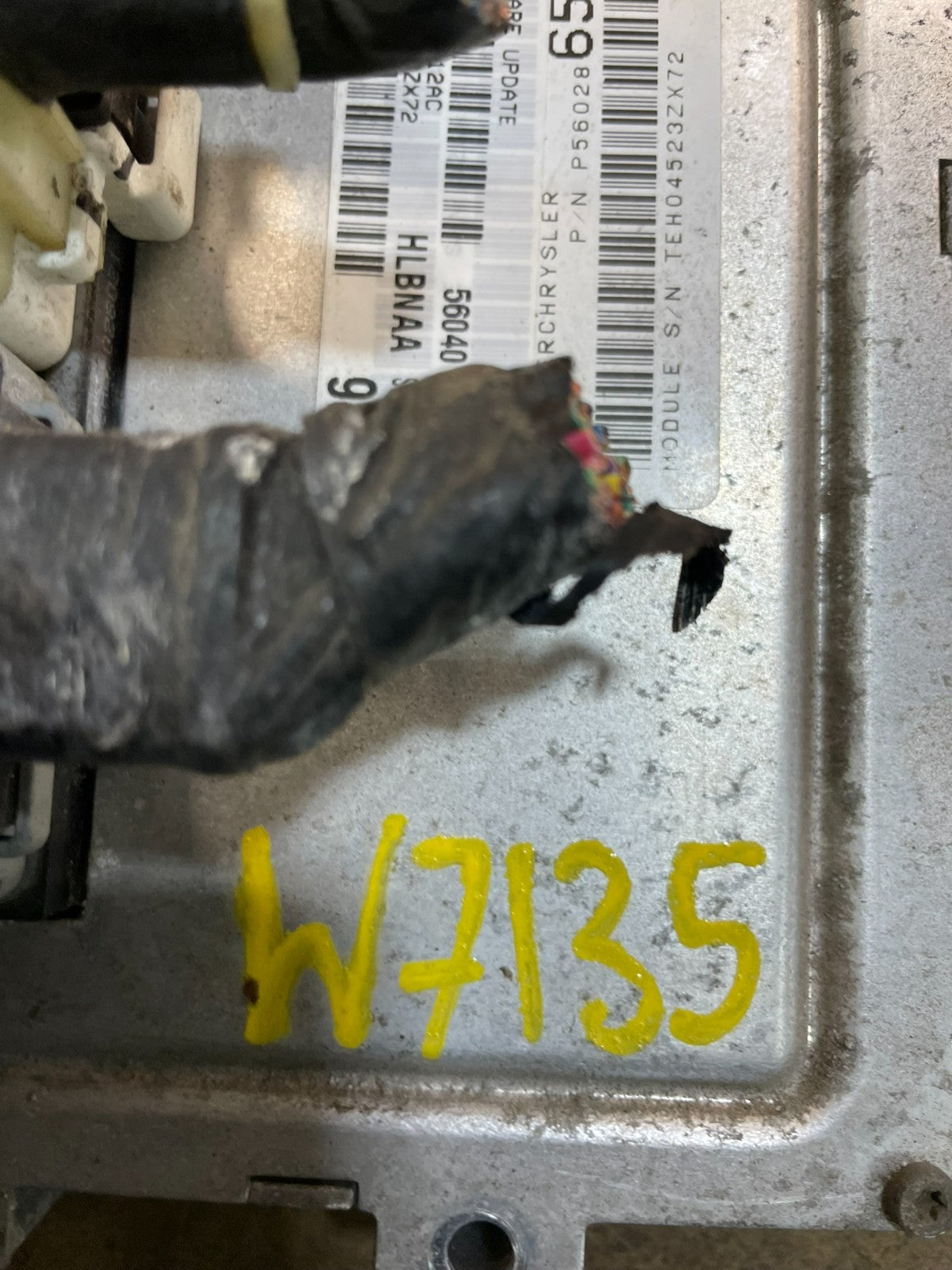 2002 Dodge Dakota Engine Computer Module ECM ECU Unit OEM w7135 DG4